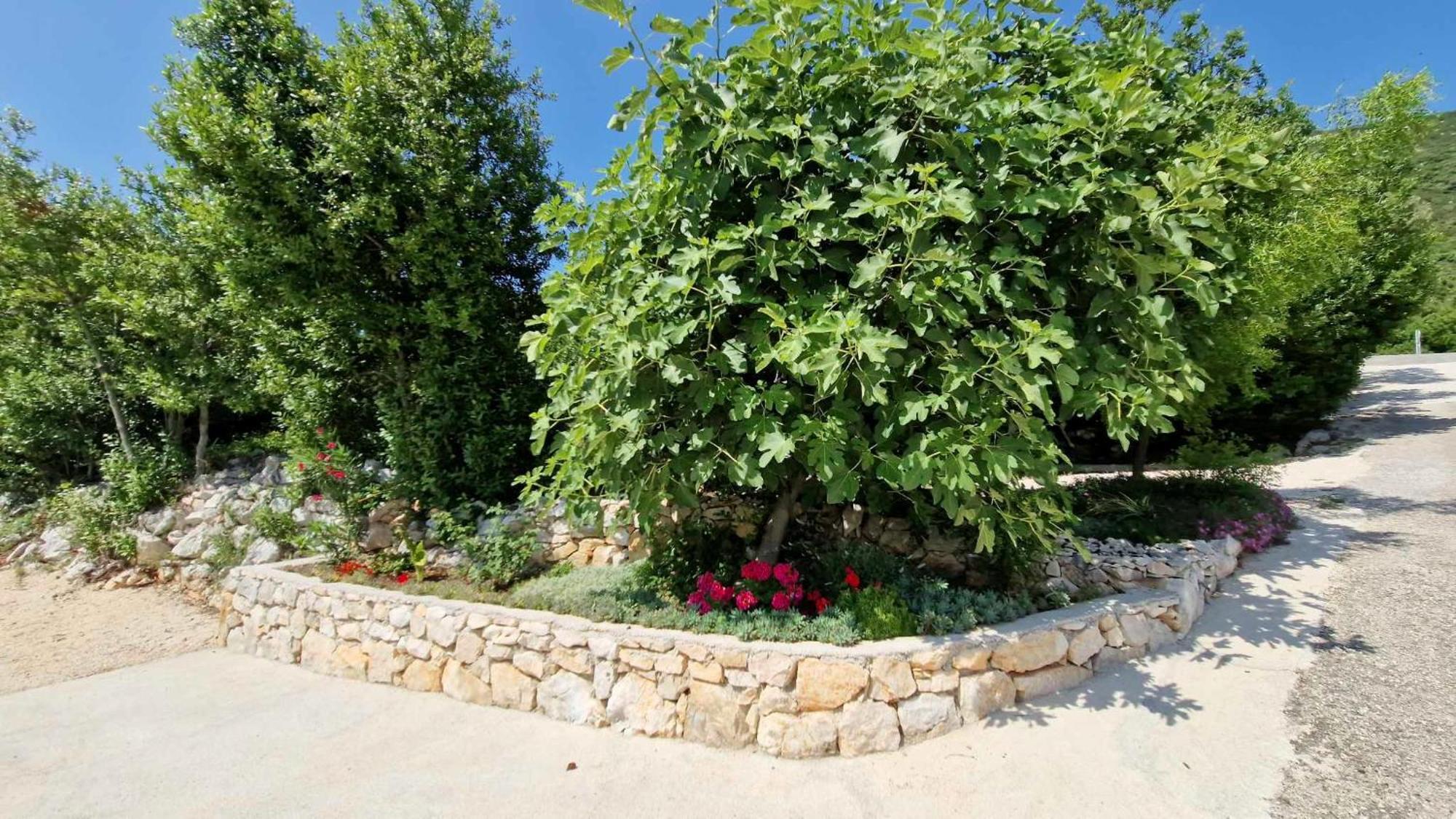 סטון Villa Paradise Garden מראה חיצוני תמונה